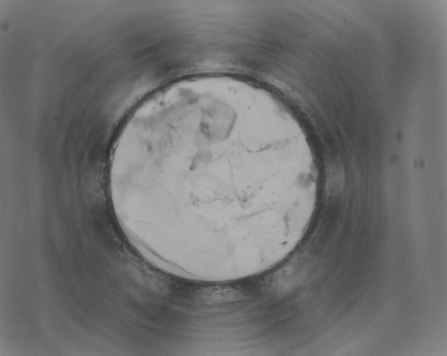 X0000070371314200606231637