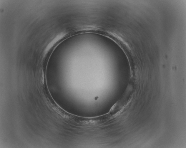 X0000070371317200606231637