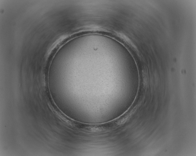 X0000070371318200606231637