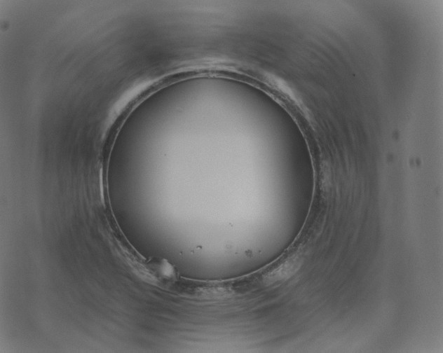 X0000070371320200606231637