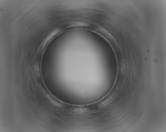 X0000070371321200606231637