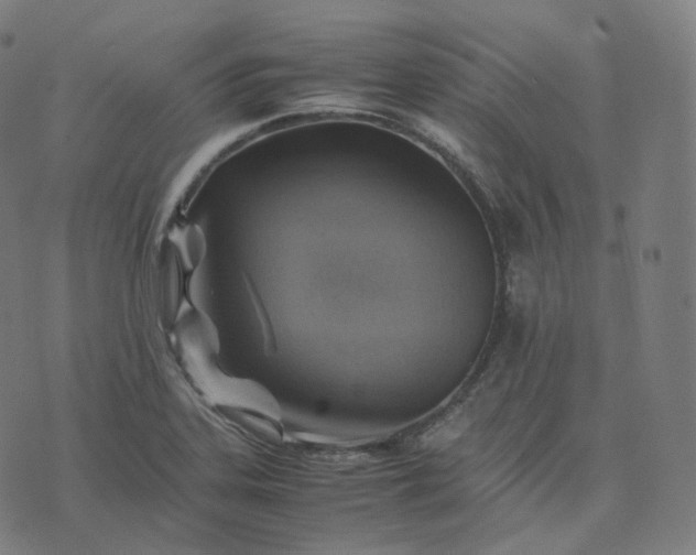 X0000070371323200606231637