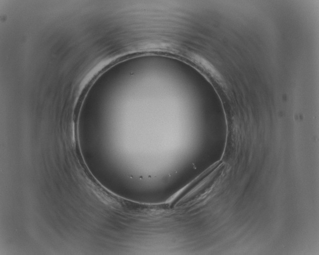 X0000070371324200606231637