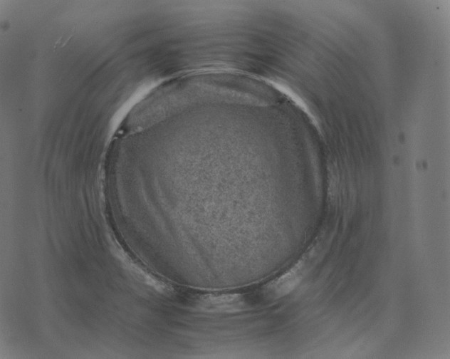 X0000070371325200606231637