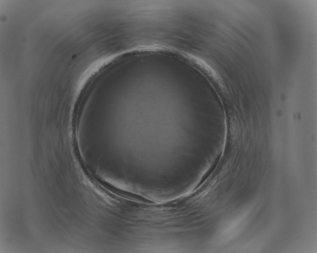 X0000070371327200606231637