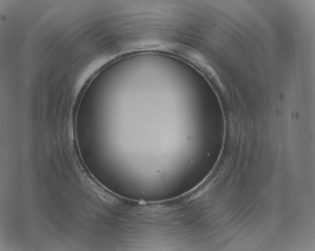 X0000070371328200606231637