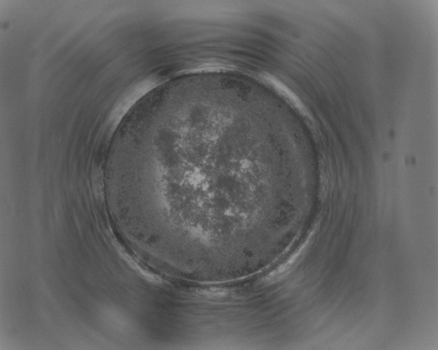 X0000070371329200606231638