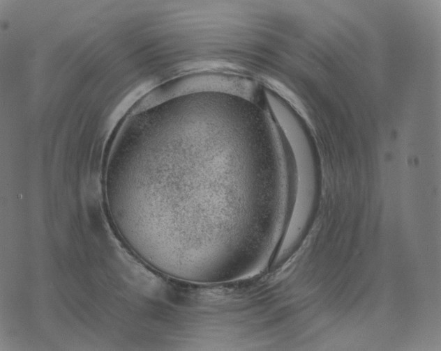 X0000070371330200606231638