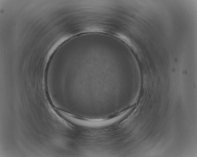 X0000070371331200606231638