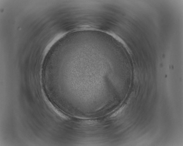 X0000070371333200606231638