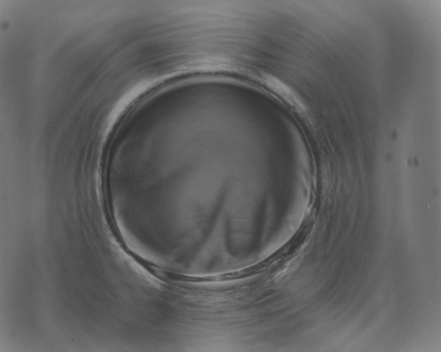 X0000070371334200606231638