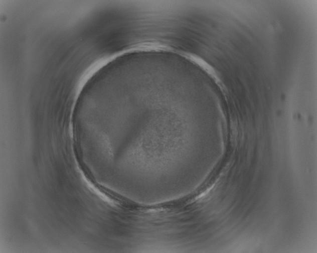 X0000070371335200606231638