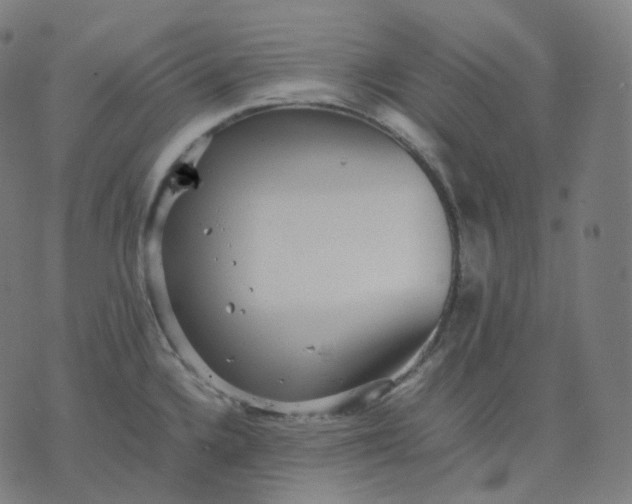 X0000070371336200606231638