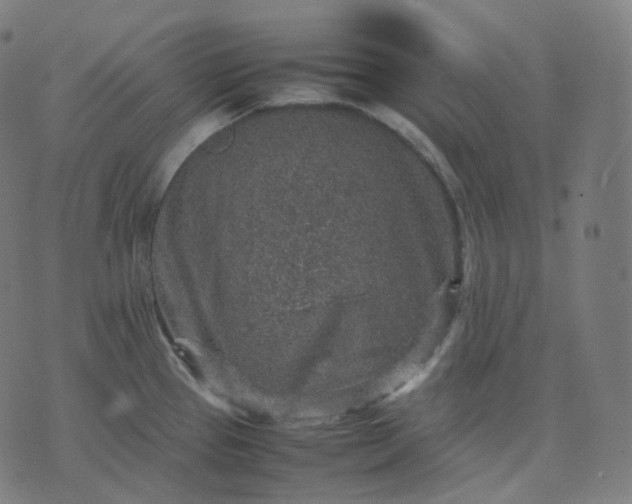 X0000070371337200606231638