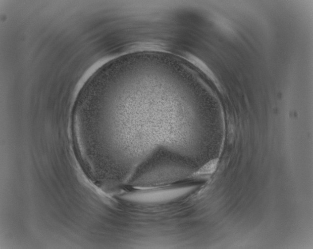 X0000070371339200606231638