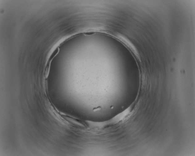 X0000070371340200606231638