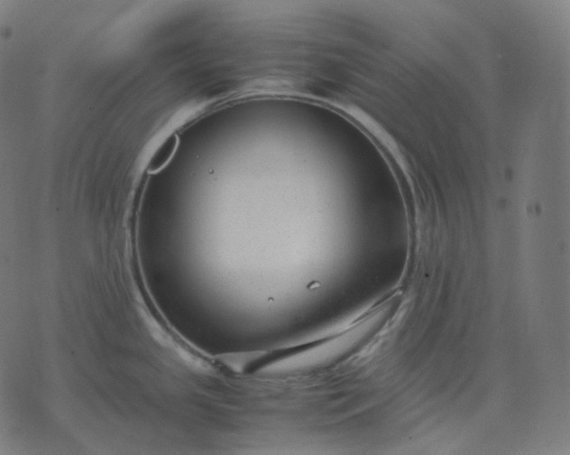 X0000070371341200606231638