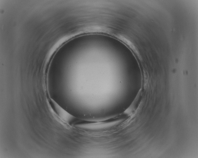 X0000070371342200606231638