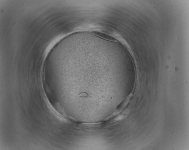 X0000070371344200606231638