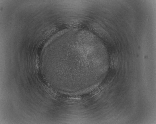 X0000070371346200606231637