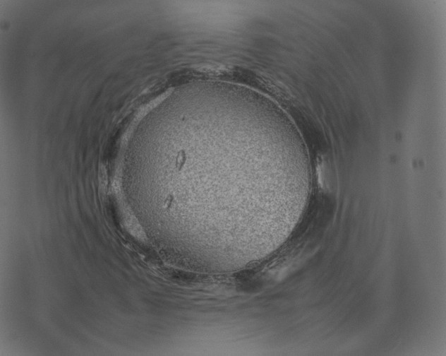 X0000070371347200606231637