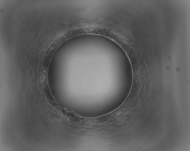 X0000070371349200606231637