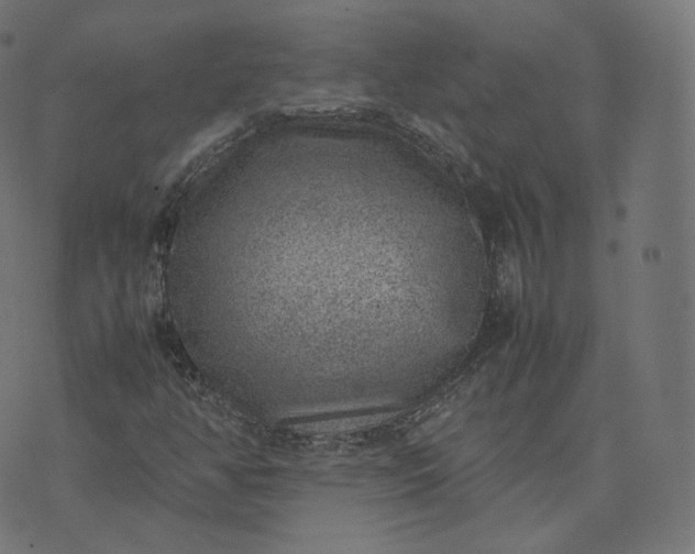 X0000070371350200606231637