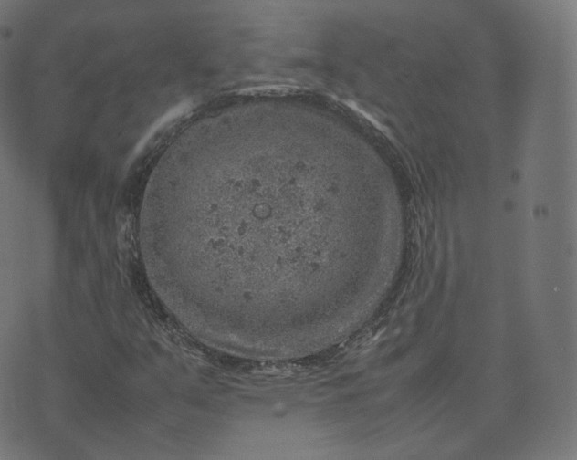 X0000070371351200606231637