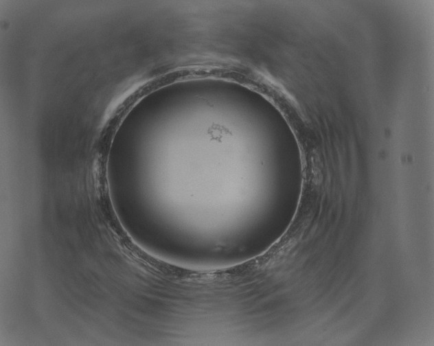 X0000070371352200606231637