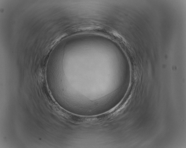 X0000070371353200606231637