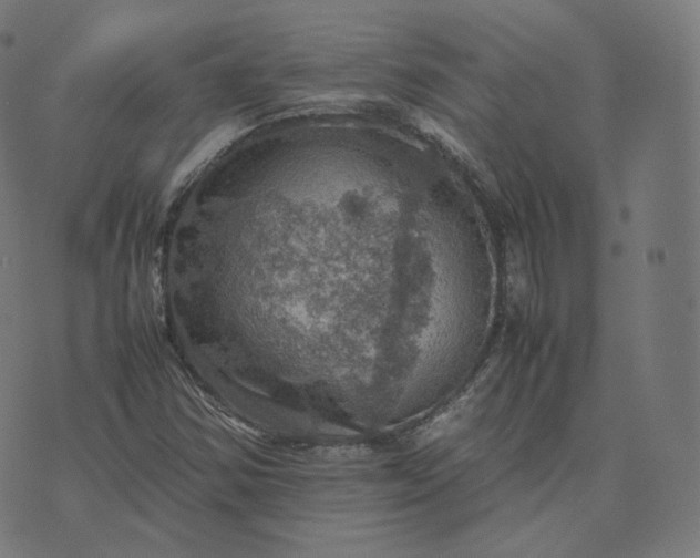 X0000070371354200606231637