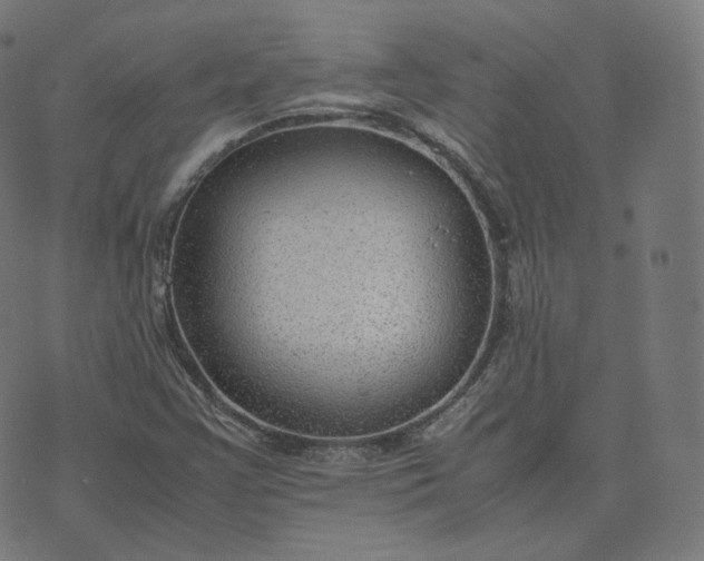 X0000070371355200606231637