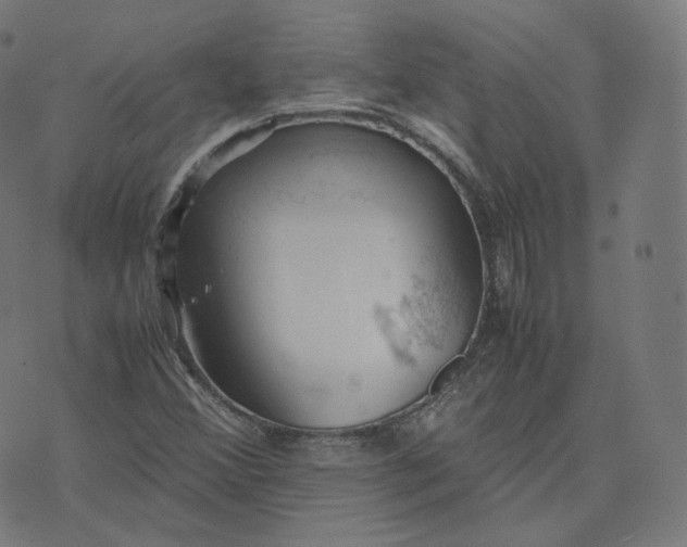 X0000070371356200606231637