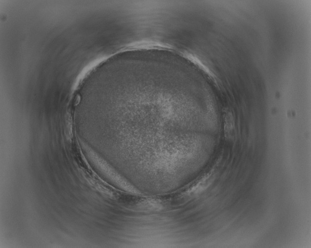 X0000070371358200606231637