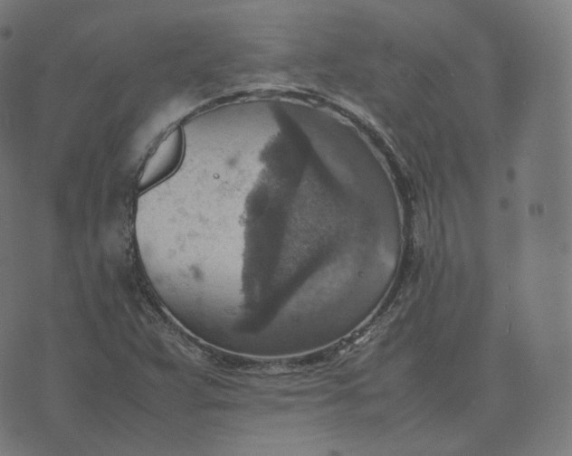 X0000070371359200606231637