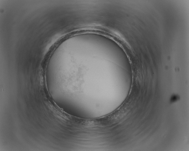 X0000070371360200606231637