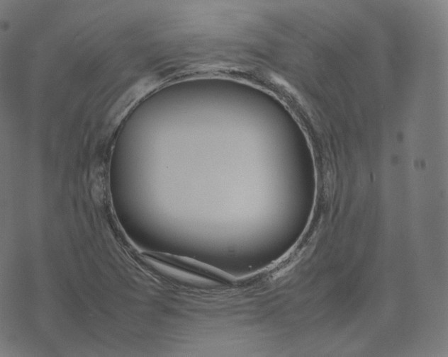 X0000070371361200606231637