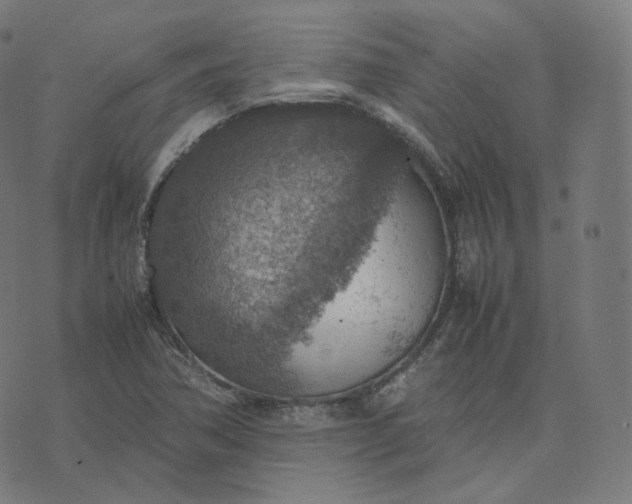 X0000070371362200606231637