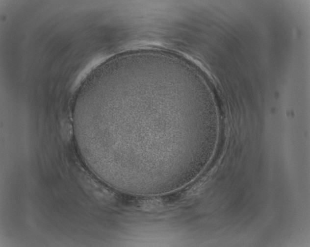 X0000070371363200606231637