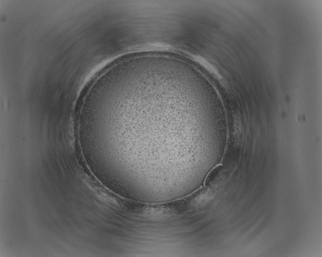 X0000070371364200606231637