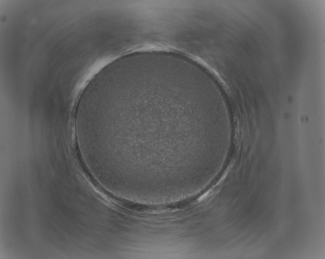 X0000070371367200606231637