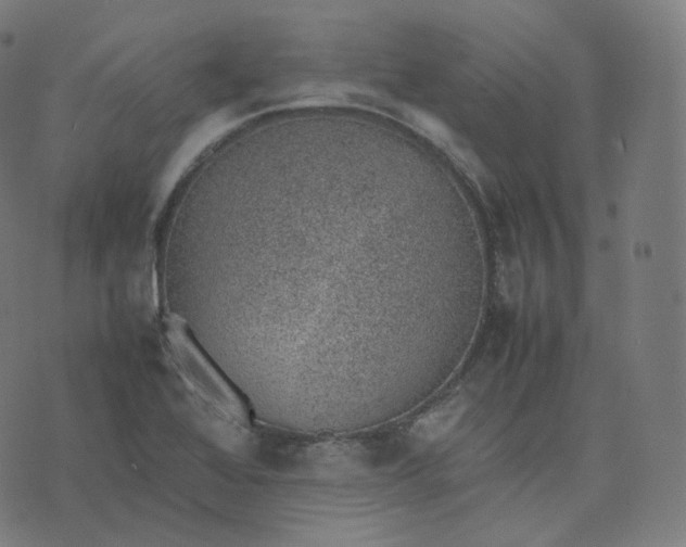 X0000070371368200606231637