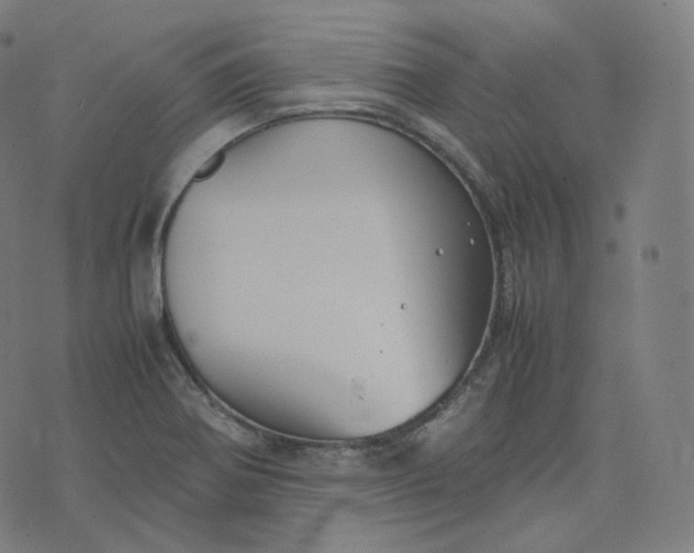 X0000070371370200606231637