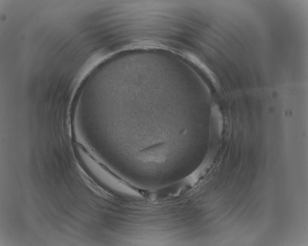 X0000070371372200606231637