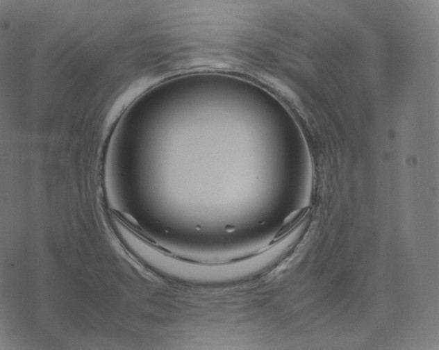 X0000070371373200606231637