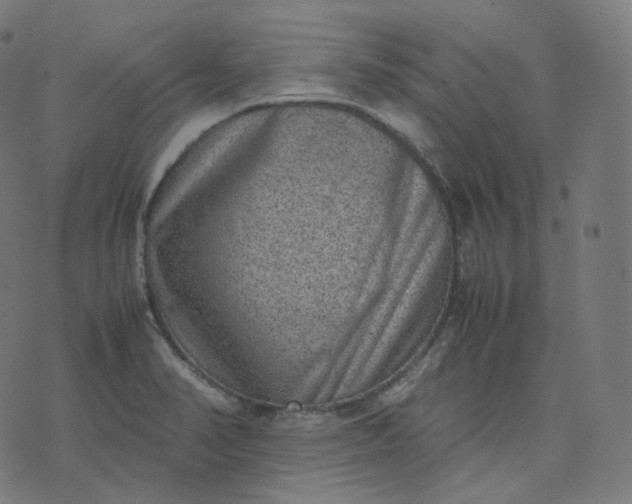 X0000070371374200606231636