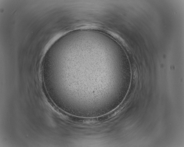 X0000070371375200606231636