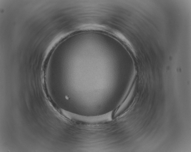 X0000070371376200606231636