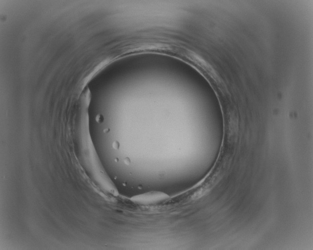 X0000070371377200606231636