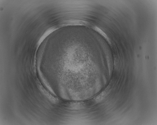 X0000070371378200606231636